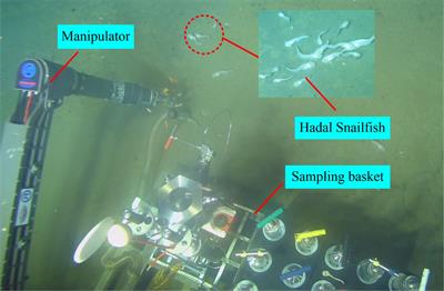 A novel active deep-sea low-damage pressure-retaining organisms sampler